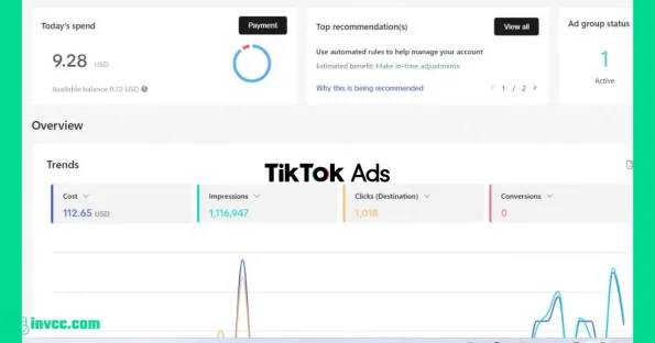 Tiktok Agency Account for Sale