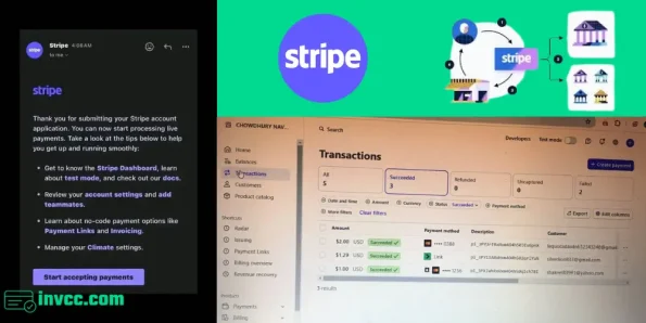 Stripe Account for Sale