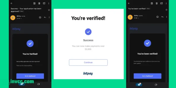 Verified Bitpay Accounts for Sale